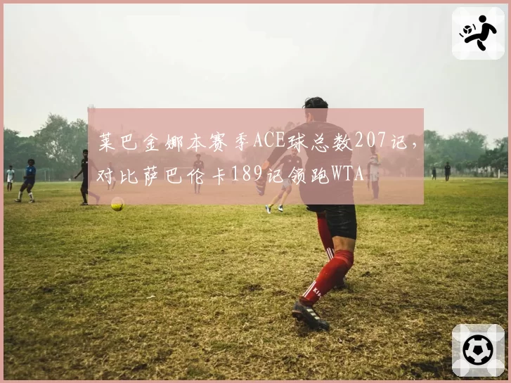 莱巴金娜本赛季ACE球总数207记，对比萨巴伦卡189记领跑WTA