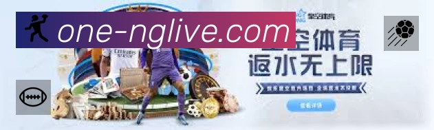 关于 NG体育